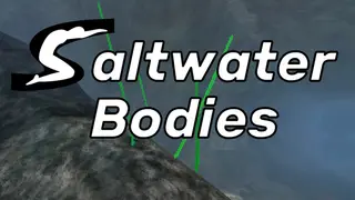 Saltwater Bodies
