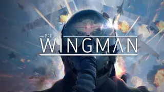 Project Wingman