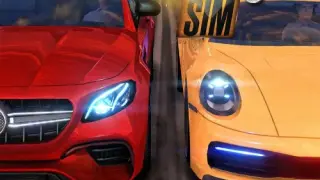 Real Driving Sim - Switch