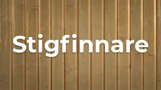 Stigfinnare