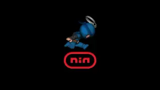 Nin
