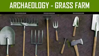Archaeology - Grass Farm