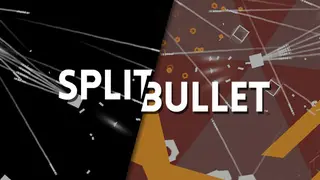 SPLIT BULLET