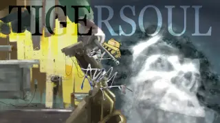 Tigersoul