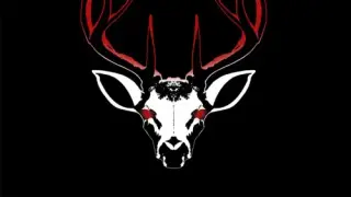 Project 13: Taxidermy Trails - Switch