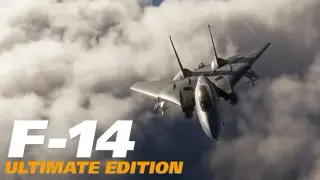 DCS: F-14 Ultimate Edition by Heatblur Simulations