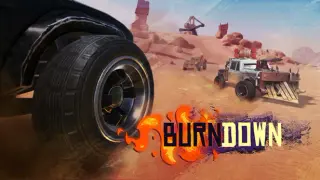 Burndown