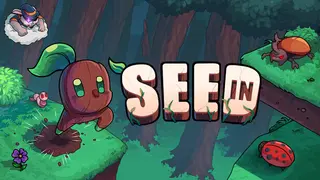 Seed in