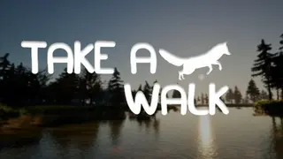 Take a Walk