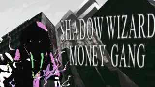 SHADOW WIZARD MONEY GANG