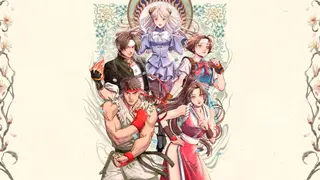 Capcom Fighting Collection 1 + 2 Bundle - PS4