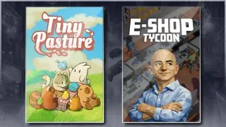 E-Shop Tycoon &Tiny Pasture
