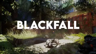 Blackfall