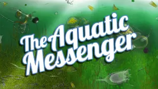 The Aquatic Messenger