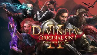 Divinity: Original Sin 2 Definitive Edition