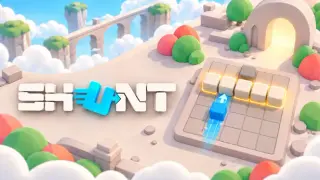 Shunt