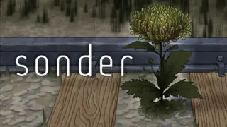 Sonder