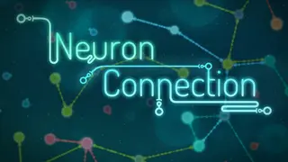 Neuron Connection