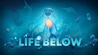 Life Below