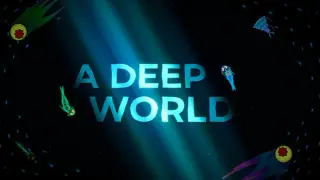 A Deep World