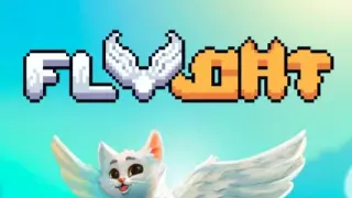Fly Cat - Switch
