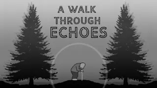 A Walk Through Echoes