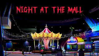 Night At The Mall