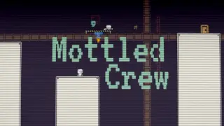 Mottled Crew