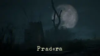 Pradera