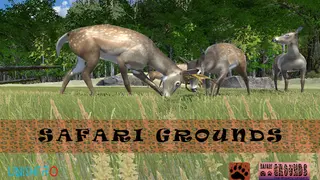 Safari Grounds - The Wilpattu Leopard