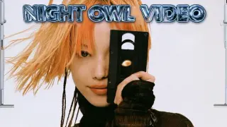Night Owl Video