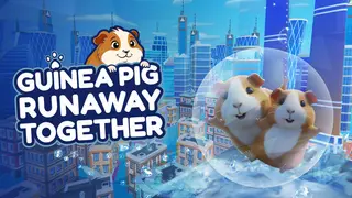 Guinea Pig Runaway Together