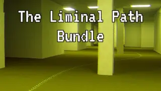 The Liminal Path Bundle