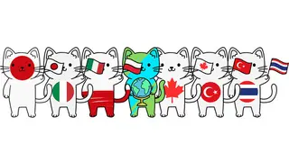 100 Cats Lost Bundle