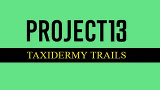 Project 13: Taxidermy Trails