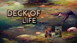 Deck of Life: No Turns, Individual Card Permadeath
