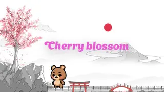 Cherry blossom