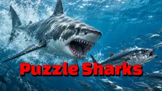 Puzzle Sharks