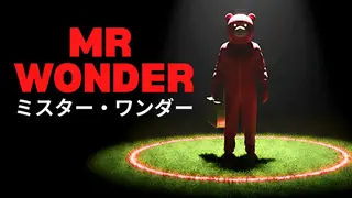 Mr Wonder