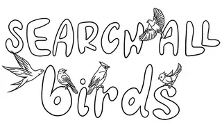 SEARCH ALL - BIRDS