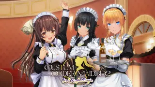 CUSTOM ORDER MAID 3D2 It's a Night Magic Epic Limited Edition