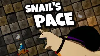 Snail's Pace