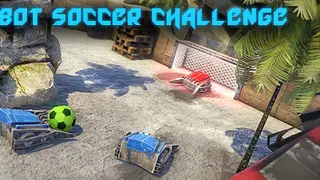 Robot Soccer Challenge