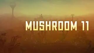 Mushroom 11