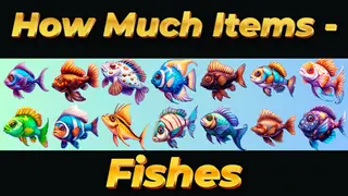 How Much Items - Fishes