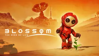 Blossom: The Seed of Life