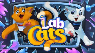 Lab Cats
