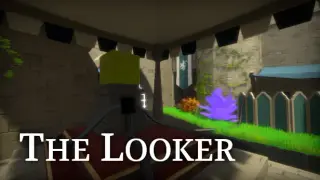 The Looker