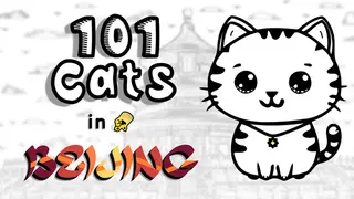 101 Cats in Beijing