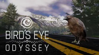 Bird's Eye Odyssey